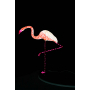 Композиция светодиодная "Фламинго" белый SHG-42-2